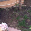 Renovar el jardín remover