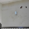 Reparación de fisuras, enfocado y pintado