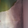 Resolver pared con humedad