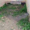 Ensolar entrada