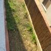Instalar jardin y mantenimiento