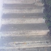 Reforma escaleras jardin