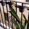 Nuevas rejas para dos balcones