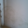 Eliminar humedad habitacion