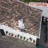 Reforma Integral Tejado Casa (Unifamiliar)