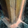Reforma bastidor madera