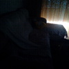Chaise longue