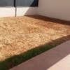 Cesped natural