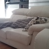 Tapizar sofas 3+2