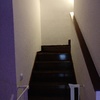 Papel pintado