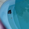 Revisar Fugas Piscina