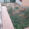Desbrozar Jardín