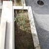 Desbrozar jardin en madrid
