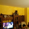 Insonorizar Vivienda Parcial