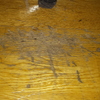 Pulir Suelo Vivienda (Parcial)