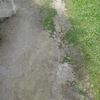 Asfaltar