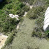 Desbrozar Jardín