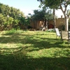 Jardinería general