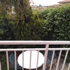Mantener Jardín