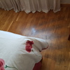 Lijar (Acuchillar) y Barnizar Parquet (Parcial)
