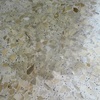 Pulir Suelo Vivienda (Parcial)