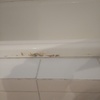 Esmaltar Bañera