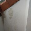 Alicatado terraza