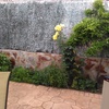 Hacer muro, patio