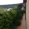 Mantener Jardín