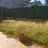 Mantener Jardín