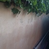 Pintar Exterior Vivienda o local