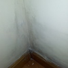 Proyectar Poliuretano
