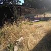 Desbrozar Jardín
