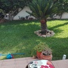 Pequeños Trabajos Jardinería