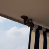 Suministrar Toldo (Sin Instalación)
