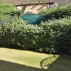Mantener Jardín