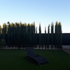 Pequeños Trabajos Jardinería