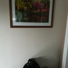 Pintar Interior De Vivienda