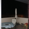 Instalar Toldo Vivienda