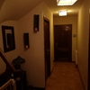 Pintar Interior De Vivienda