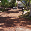 Mantener Jardín