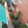 Mantener Jardín