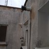 Control de Aves