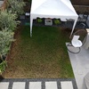Mantener Jardín