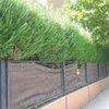 Mantener Jardín