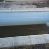 Limpieza puntual de piscina