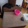 Sofás