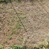 Desbrozar Jardín