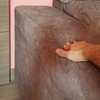 Pequeños Trabajos Tapiceros