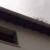 Limpieza de canalones o bajantes